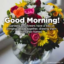 Spicecomments.com has thousands of comments for facebook, twitter and myspace, funny photos, pictures with quotes of friendship, love cards, animated gifs, cute scraps, glitters and images with beautiful messages. Beautiful And Amazing Good Morning Flowers With Images Good Morning Images Quotes Wishes Messages Greetings Ecards