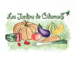 Producteur Fruits Legumes Bio Arles Alpilles Jardins De Cidamos