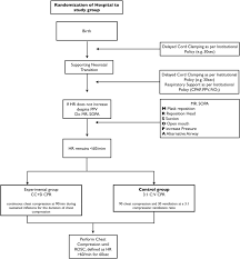The approach to decisions in the newborn should be the parents firmly request that everything be done, starting with resuscitation at birth. The Surv1ve Trial Sustained Inflation And Chest Compression Versus 3 1 Chest Compression To Ventilation Ratio During Cardiopulmonary Resuscitation Of Asphyxiated Newborns Study Protocol For A Cluster Randomized Controlled Trial Trials Full Text