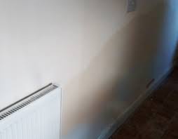 Damp On Walls | Causes And Treatments | Peter Cox