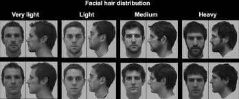 Let artificial intelligence decide how attractive you are. The Role Of Facial And Body Hair Distribution In Women S Judgments Of Men S Sexual Attractiveness Springerlink