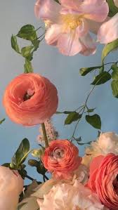 Pink Bloom Rose Wallpaper Iphone In 2020 Rose Wallpaper Flower Wallpaper Flower Aesthetic