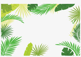 Maybe you would like to learn more about one of these? Arecaceae Text Branch Leaf Palm Leaf Border Png 5000x3334 Png Download Pngkit