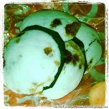 Putih juga memiliki berbagai variasi corak dan warna sehingga membuat proses seleksi agak rumit. 10 Gambar Sepuluh Kuih Tradisional Kegemaran Rakyat Malaysia