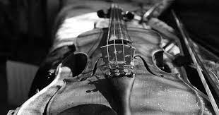 Violon Noir Et Blanc Bow Musique Violin Instruments Music