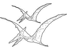 Flying Reptiles And Pterodactylus Coloring Pages Pterosaur Dinosaur Coloring Pages Dinosaur Coloring Dinosaur Drawing