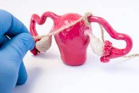 Secretiile Vaginale Pe Parcursul Unui Ciclu Menstrual Si In Timpul Sarcinii Revista Baby Pentru PÄƒrinti È™i Copii