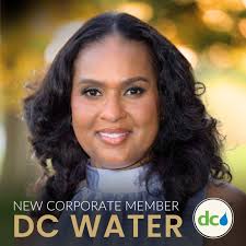 Ogechi Okpechi, PE, PMP, Assoc. DBIA