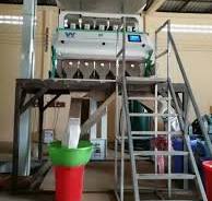 Indonesia Coconut Flakes Color Sorting Machine - Coconut ...