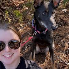 Here's a Dog Math™️ problem: Sam has three dogs. Sam also has three  identical bully sticks. She gives each dog a bully stick. According to the  dogs, how many bully sticks are