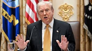 MAGA ally Sean Davis goes after Trump, GOP for looking 'weak'