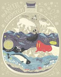 An Arctic Ecosystem Terrarium Art Print Art Prints Ecosystems Illustration