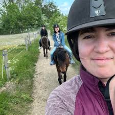 How to address herding behavior in a 7-month-old Border Collie?