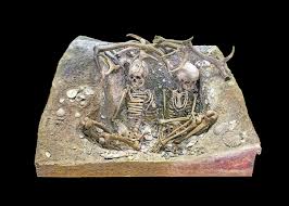 Pembagian zaman batu dapat dibagi menjadi 3 bagian diantaranya zaman batu zaman batu terbagi menjadi empat yaitu zaman paleolitikum mesolitikum neolitikum zaman neolithikum atau zaman batu baru atau disebut juga dengan zaman revolusi. Mesolitik Definition Und Synonyme Von Mesolitik Im Worterbuch Malaysisch