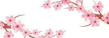 Cherry Blossom Svg Free Google Search Cherry Blossom Blossom Free Svg