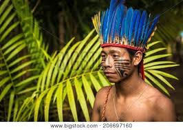 Sexually transmitted disease, indigenous peoples in brazil, south america the guarani indians seemed to interest me the most because they settled in south america, and. Indigenous Man From Tupi Guarani Tribe In The Jungle Brazil Stock Images Page Everypixel