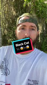 Black Cat Crossing #fypage #blackcat #blackcatcrossing #badluck #goodluck  #scary #mystery #urbanlegend #superstitchous #hairraisingcampfiretales