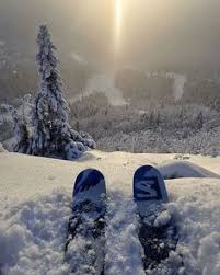 We did not find results for: Bvk Byroxz Profile Pinterest