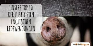 Lustige Englische Redewendungen Unsere Top 10 Mosalingua