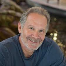 malta #pollination #honeybee #pollinator #environment #biodiversity  #ecosystem