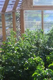 Choosing the right covering material for the greenhouse is critical. How To Build A Greenhouse