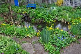 Hometalk Garden Tour Merlin S Hollow Water Features In The Garden Garden Tours Cedar Hedge