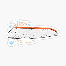 We did not find results for: Oarfish Gifts Merchandise Redbubble