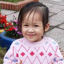 Nụ hương bách xanh tự nhiên giúp nhà cửa thêm sang trọng mến khách