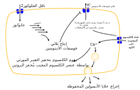 نتيجة بحث الصور عن مضاعفات مرض السكر Map Chart Map Screenshot