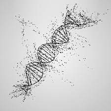 I Was Pointed Today To A Piece In The Bbc Titled What Makes A Mixed Race Twin White Or Black The British Media Seems To Revisit This Dna Tattoo Dna