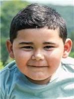 Search Cardell Johnson Obituaries and Funeral Services