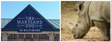 Baltimore Zoo Coupons 2020 Hotels Jobs Hours And More Info