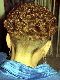 Pin On Bowlcuts Mushrooms 02