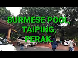 Cewek mandi di luar rumah. Burmese Pool Taiping Destimap Destinations On Map