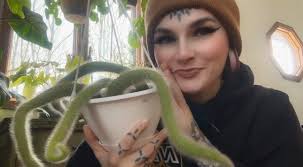 Does anybody know what kind of cactus is? ￼