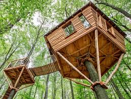 En la construcción de casas árbol utilizamos materiales y maderas de bajo impacto, preferentemente locales. Las Casitas Del Arbol Mas Espectaculares Del Mundo Placeres S Moda El Pais
