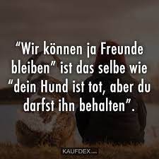 Seit tagen kein wunder 7. Wir Konnen Ja Freunde Bleiben Ist Das Selbe Wie Dein Hund Ist Tot Kaufdex Spruche Spruche Zitate Weise Zitate