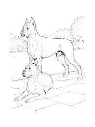 dog30 gif 768 1025 coloriage animaux a imprimer chien belle femme