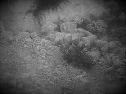 Konya'nın ereğli ilçesinde bir müteahhitlik bürosunu basan cem küççüktürk, 3 kişi öldürüldü, 1 kişi ağır yaraladı. Konya Nin Karapinar Ilcesinde Kopek Katliami