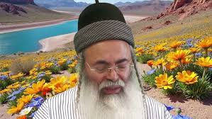 מתכון Raw Food לחומוס מ...קישואים