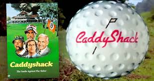 Looking for a golf novelty gift that's sure to make an impression? Funny Golf Ball Quotes Quotes T Load