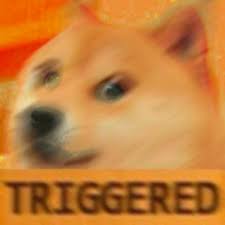 Triggered Doge By Katacaz On Deviantart Lucu Humor Hewan Hewan