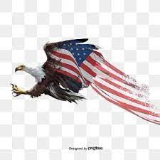 Flying White Headed Sea Eagle Gradual Hand Painted Elements Of American Flag National Flag National Bird Hand Painted Png Transparent Clipart Image And Psd F National Flag American Flag Sea Sculpture