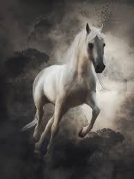 Running arabian horse 2020 10 01 drawing. Artstation Arabian Horse Digital Drawing Luna Roveda