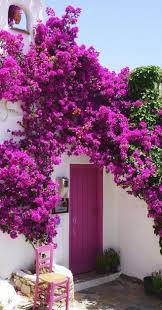 Gardening Ideas Garden Design Beautiful Doors Landscape