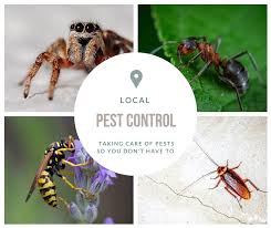 Hickman's termite & pest control provides commercial pest control, residential pest control, real es. Evergreen Pest Solutions Of Virginia 233 Granite Spring Rd Richmond Va 2021
