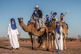 .trustees of the palm springs desert museum who foresaw the impact that resort development would have on this foresight led to an interpretive nature trail and preserve in palm desert. Desert Palm Grove Camel Ride From Marrakech With Tea Snack 2021