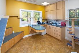 Veterinary Hospital Design Cat Exam Room Hospital Design Veterinary Clinic Veterinary