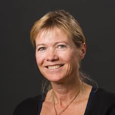 Anne Eichmann, PhD < Yale School of Medicine