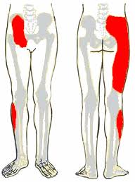 Pin On Pain Relief